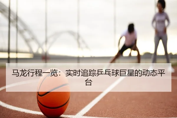 ma-long-xing-cheng-yi-lan-shi-shi-zhui-zong-ping-pang-qiu-ju-xing-de-dong-tai-ping-tai-2-892.jpg